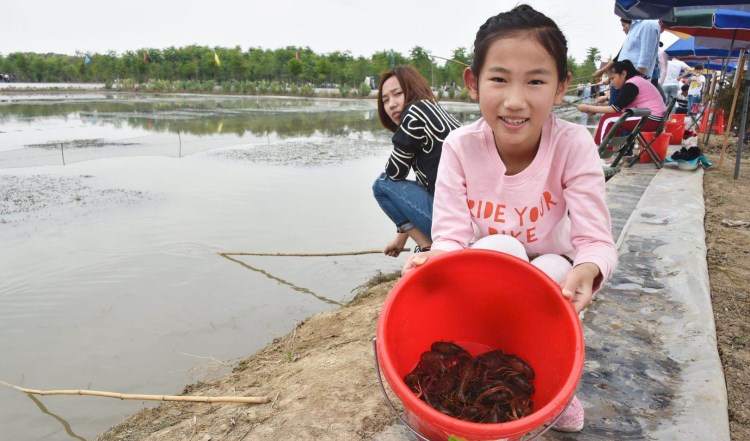 1482901589.jpg 1482901589.jpg