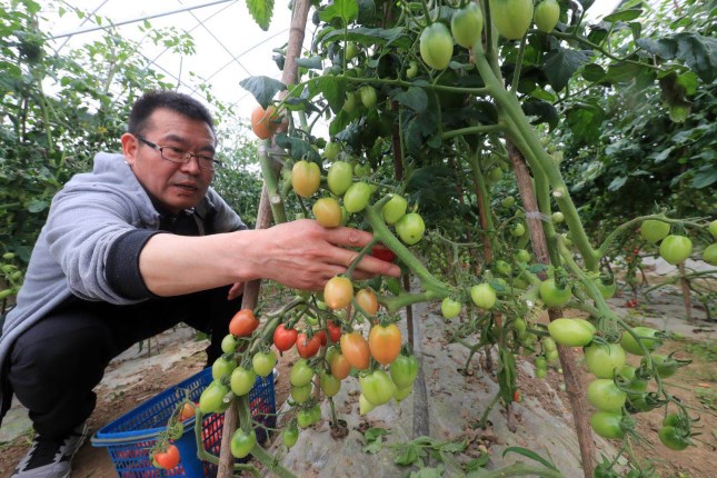 1019965216_副本.jpg 1019965216_副本.jpg