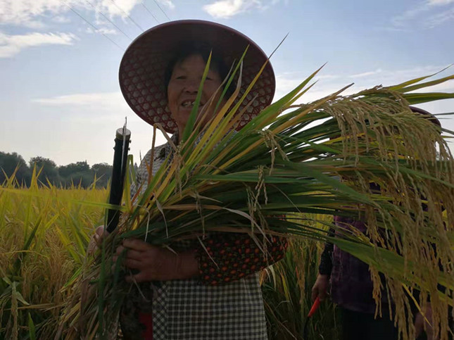 内430a827447b8618_副本.jpg 内430a827447b8618_副本.jpg