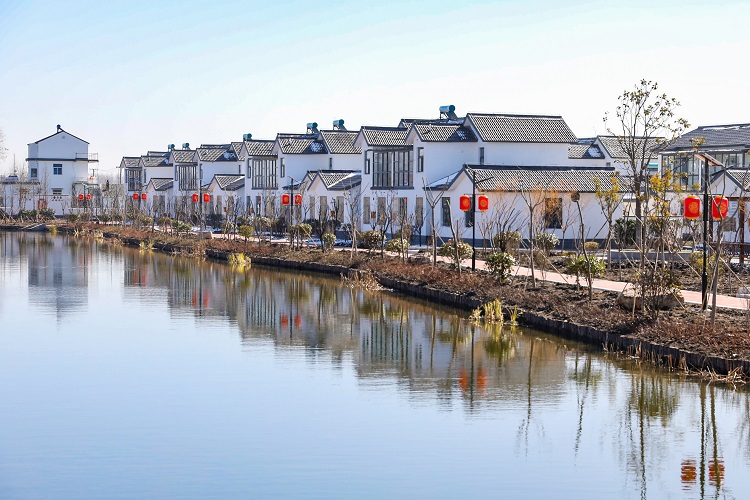 徐王村周围水体改造。郜野乔.jpg 徐王村周围水体改造。郜野乔.jpg