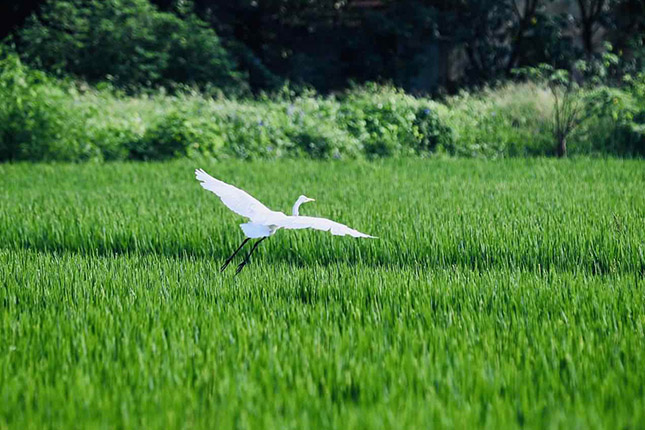 微信图片_20200823135304.jpg 微信图片_20200823135304.jpg