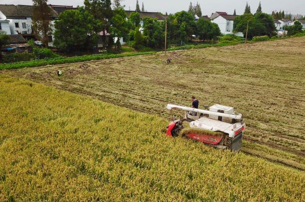 微信图片_20200921221718.jpg 微信图片_20200921221718.jpg