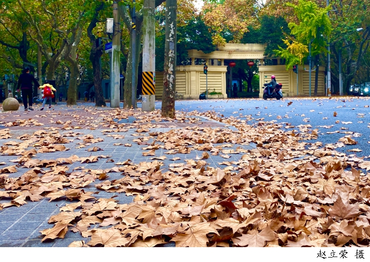 3004386_w750.jpg 3004386_w750.jpg