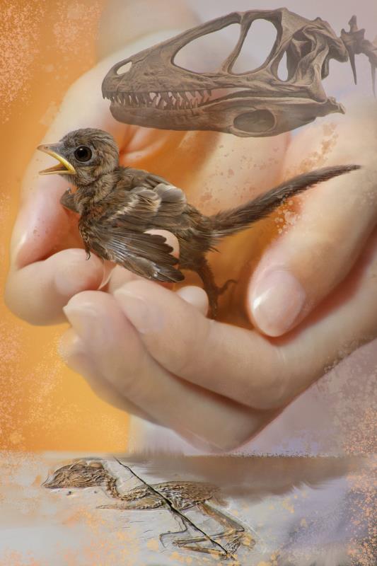 1914262774.jpg 1914262774.jpg