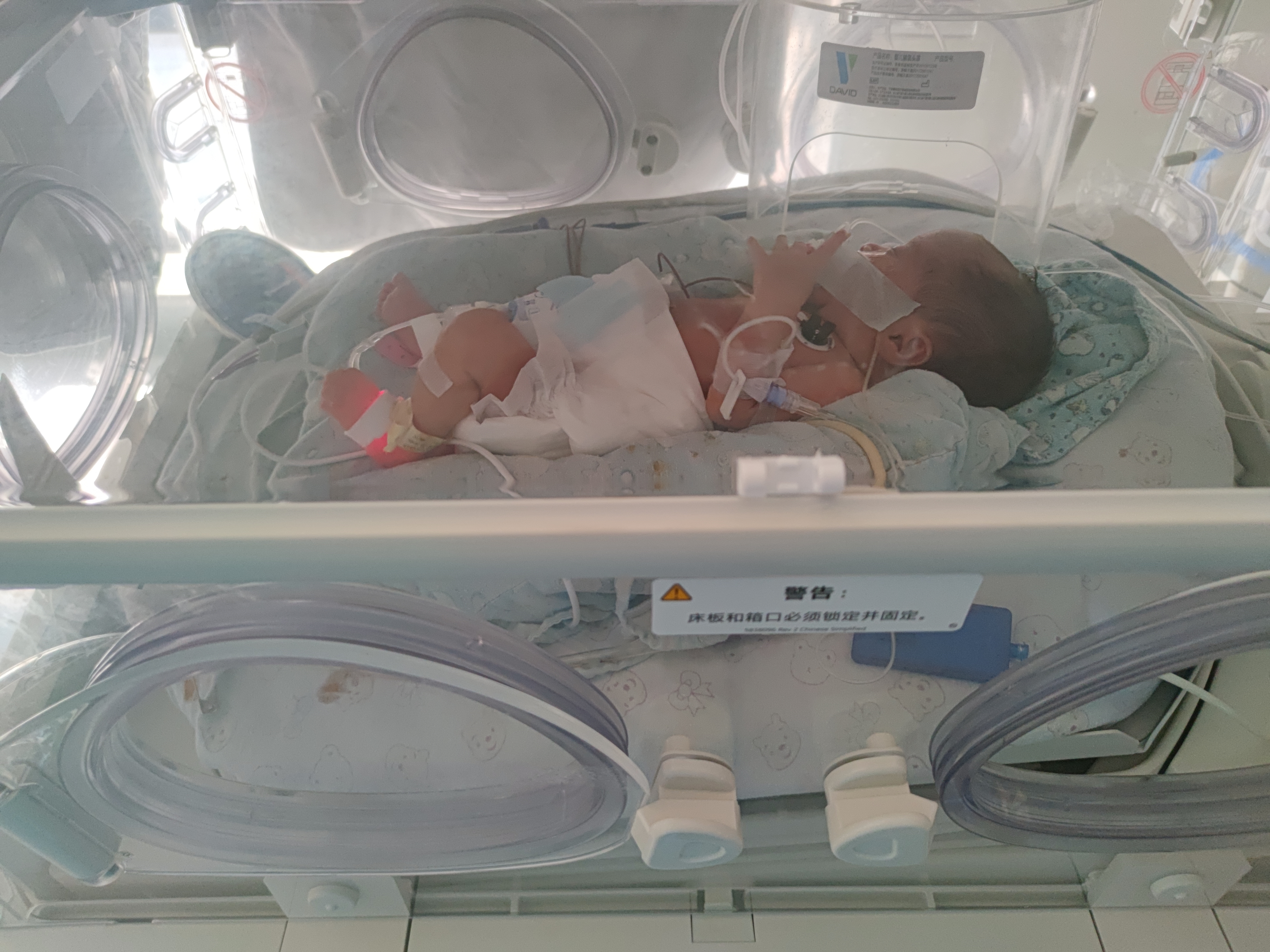 1919741166.jpg 1919741166.jpg