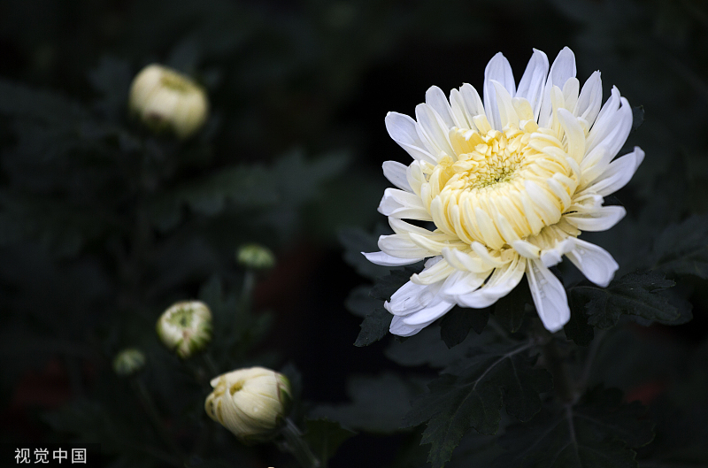 VCG211279120157.jpg VCG211279120157.jpg