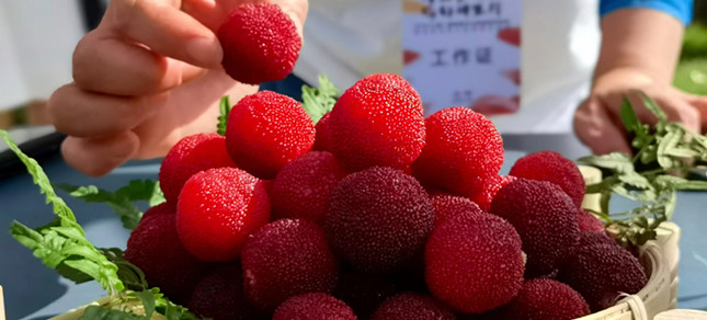 内 021258d39eb4c13_副本.jpg 内 021258d39eb4c13_副本.jpg