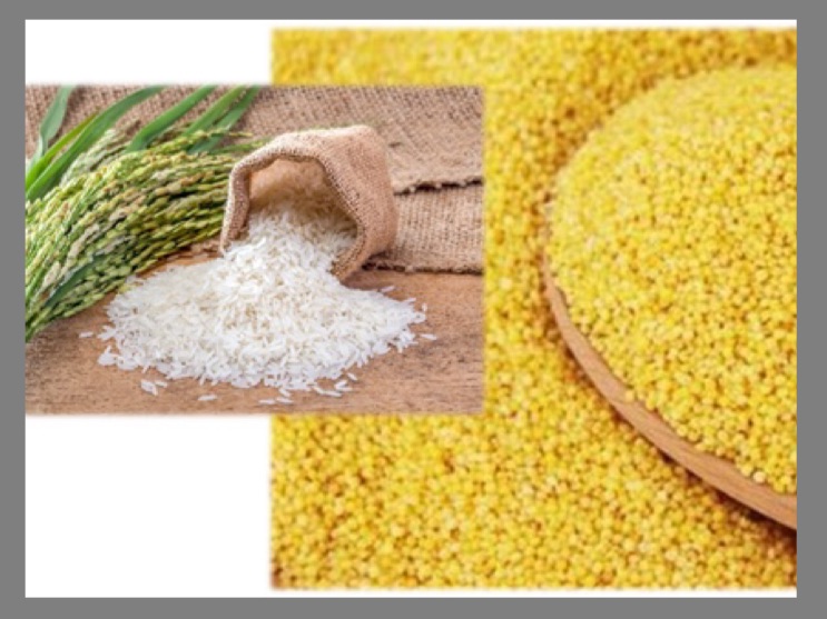 IMG_8355.jpg IMG_8355.jpg