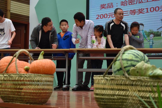 1144384295.jpg 1144384295.jpg