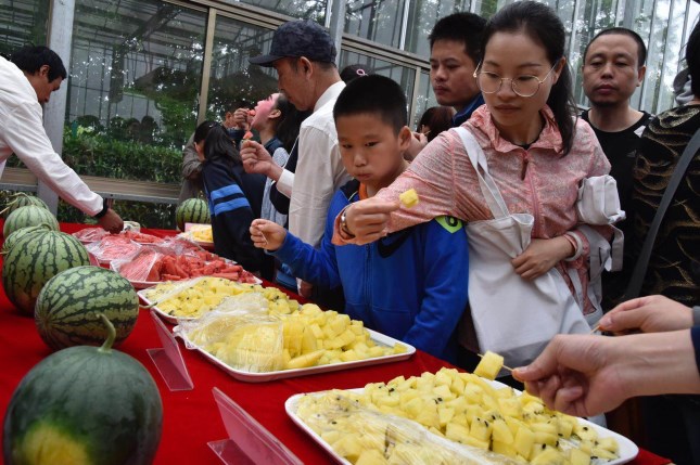 262068680.jpg 262068680.jpg