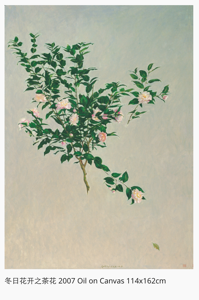 屏幕快照 2018-11-18 19.34.44.png