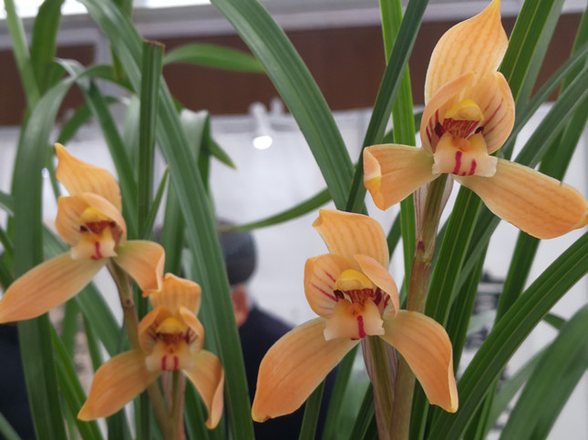 feb488d758ce0e2883288d6ebe37366_副本.jpg feb488d758ce0e2883288d6ebe37366_副本.jpg