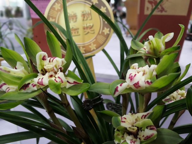 f8119b7ba8d94527e530cb5cd67dbc4_副本.jpg f8119b7ba8d94527e530cb5cd67dbc4_副本.jpg