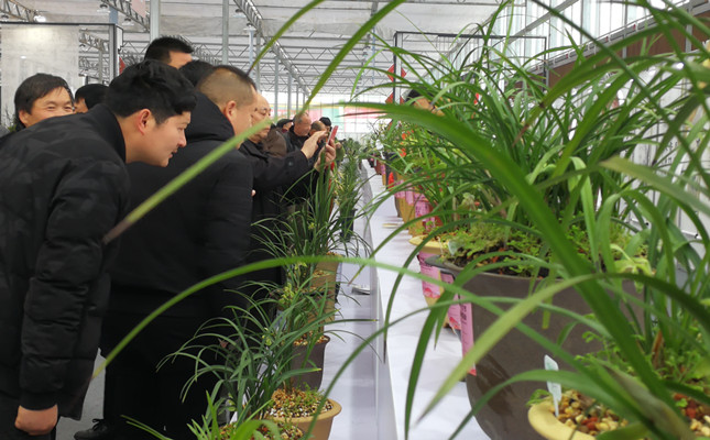 内2ba7fce8cd69d6f68d142a4254f0b16f_副本.jpg 内2ba7fce8cd69d6f68d142a4254f0b16f_副本.jpg