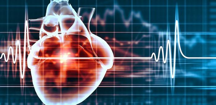 timg (5).jpeg timg (5).jpeg