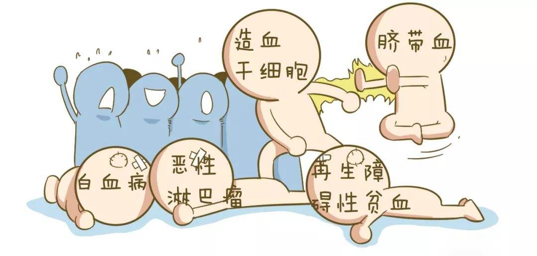 timg (6).jpeg timg (6).jpeg