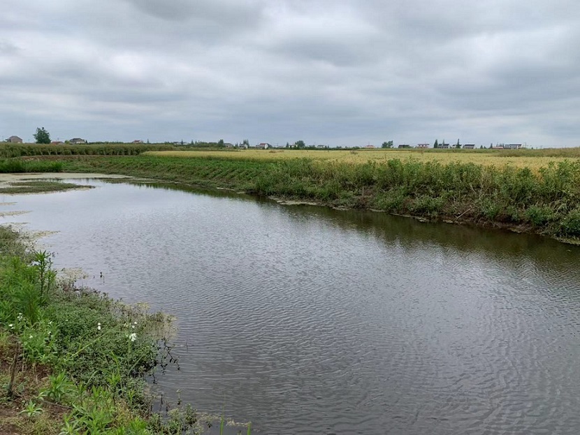 聚星镇2.jpg 聚星镇2.jpg