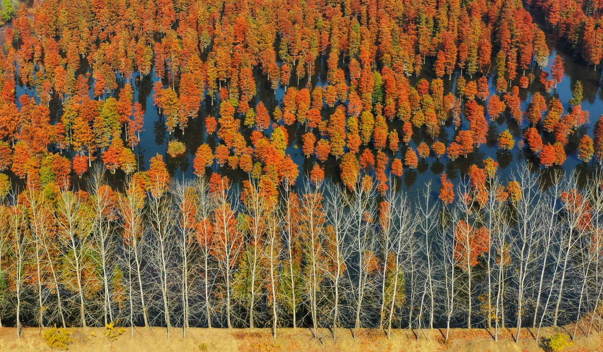 图片1.png 图片1.png