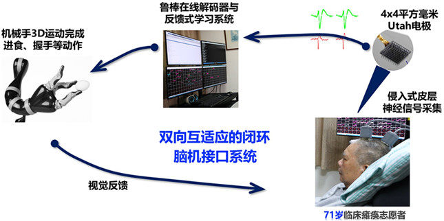 内5fdff2782_副本.jpg