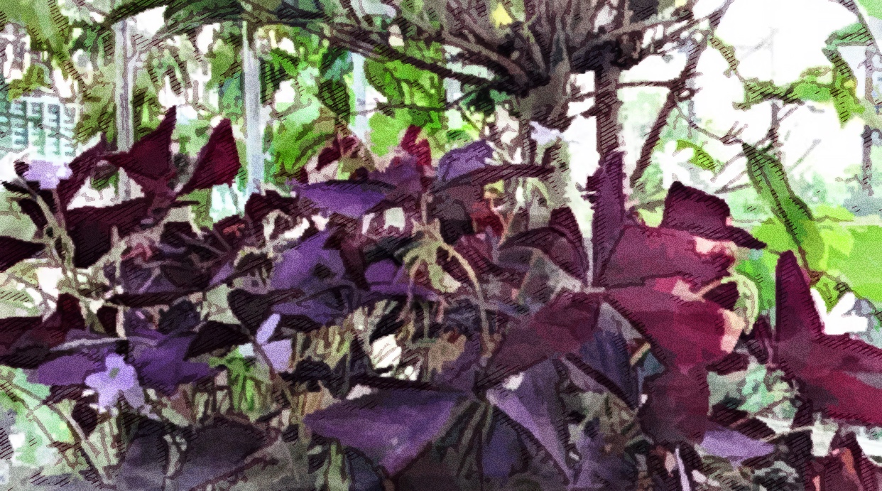 5E3F610E-2398-4CC4-953D-3309CCB068BB.jpeg 5E3F610E-2398-4CC4-953D-3309CCB068BB.jpeg