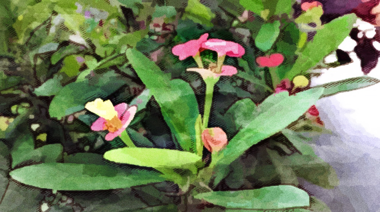 4F238FD6-461A-4FFF-9615-2A41CC4AA126.jpeg 4F238FD6-461A-4FFF-9615-2A41CC4AA126.jpeg