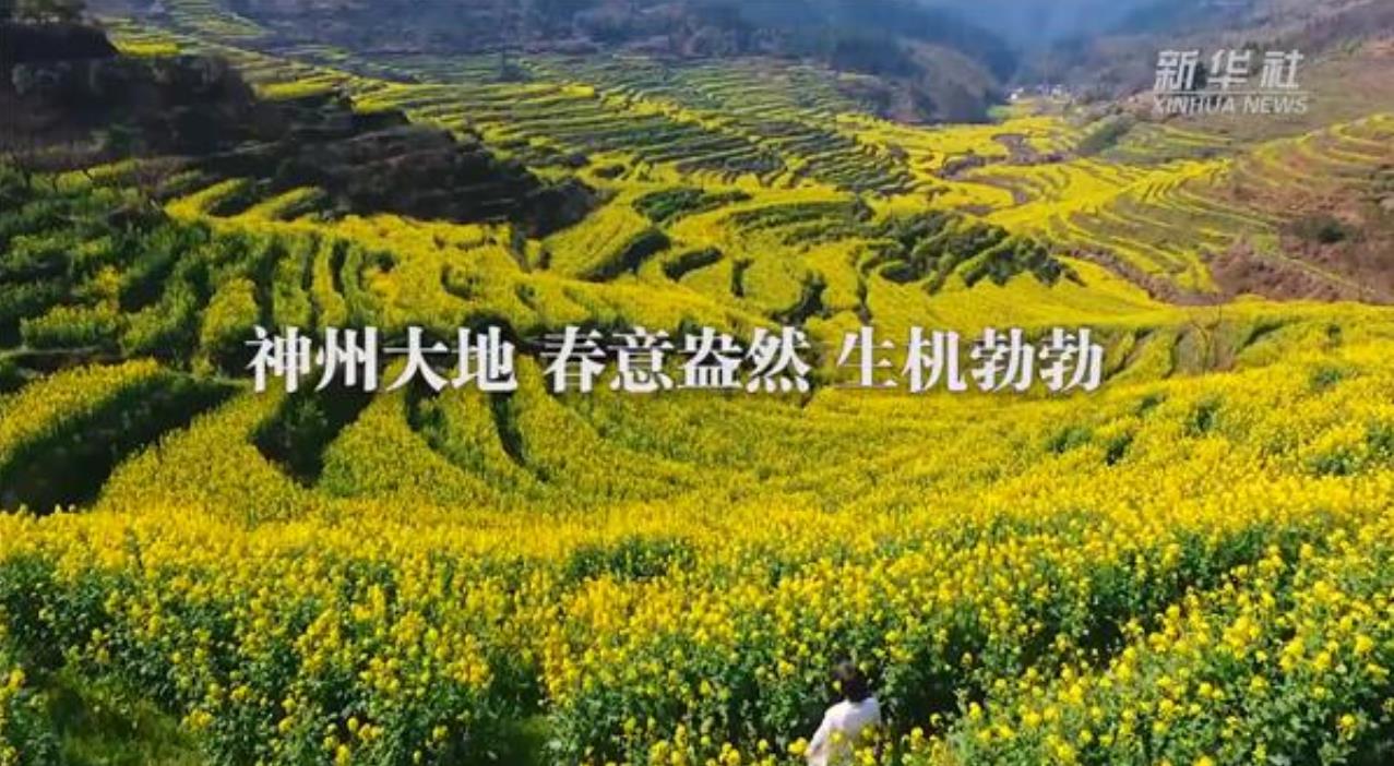 微信截图_20200330173046.jpg