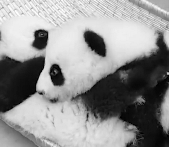 微信截图_20200707102251.png 微信截图_20200707102251.png