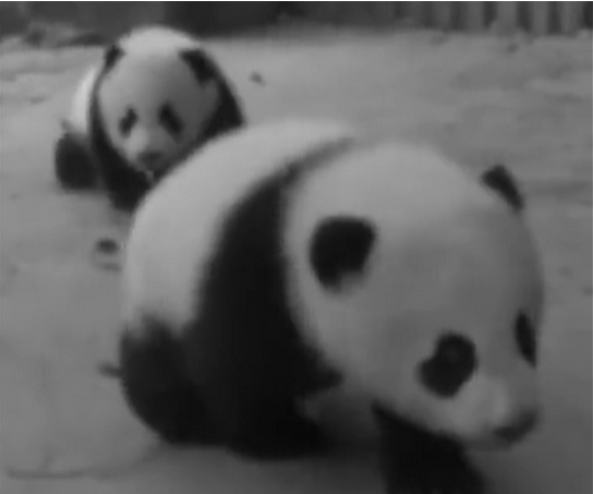 微信截图_20200707102238.png 微信截图_20200707102238.png