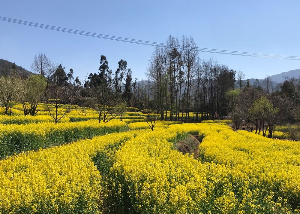 洱源乡间.jpg 洱源乡间.jpg