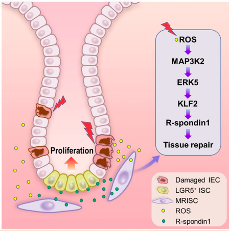 屏幕快照 2021-03-04 上午9.20.02.png