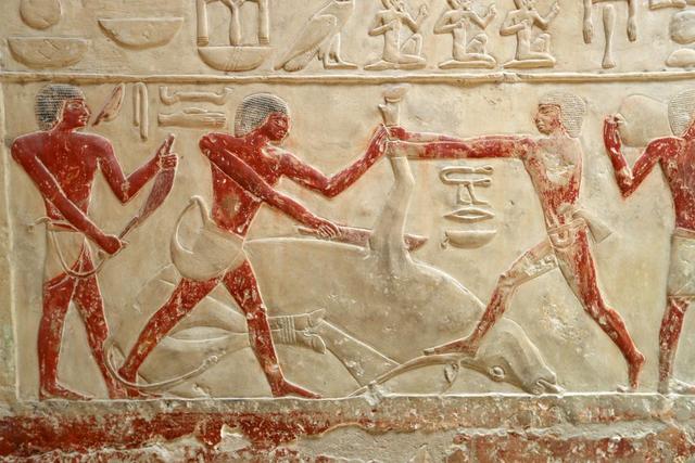 6159252dd42a283460de8fb0d07621e214cebf59.jpeg 6159252dd42a283460de8fb0d07621e214cebf59.jpeg