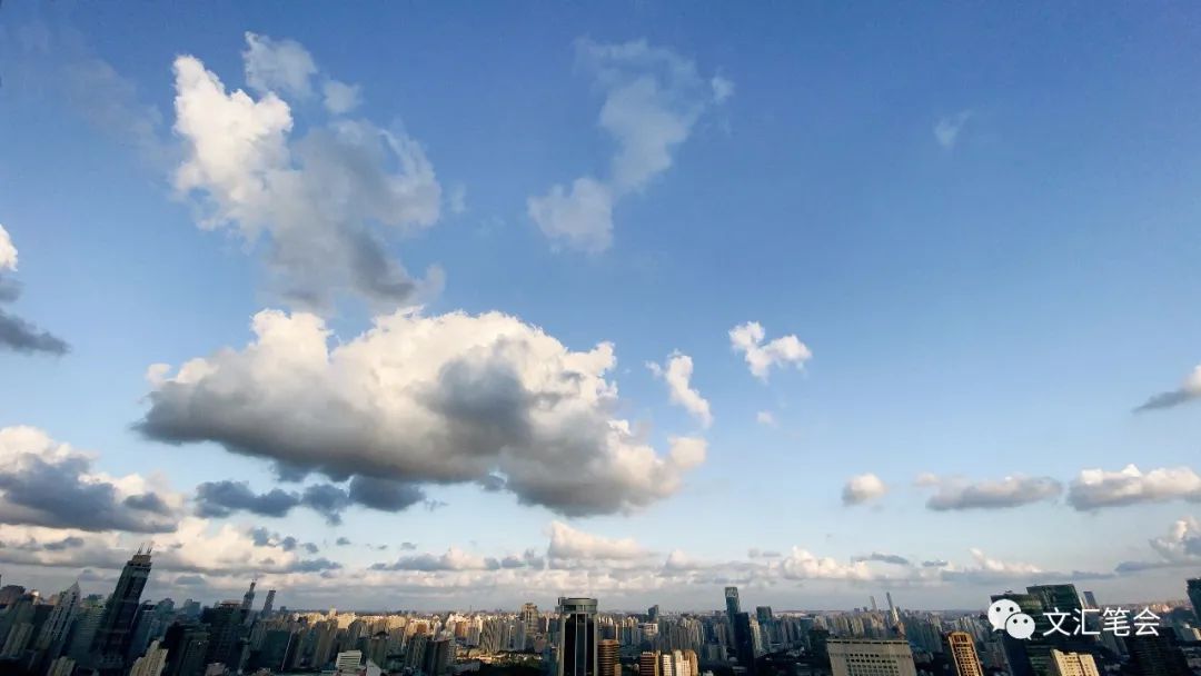 握枪的儿子.jpg 握枪的儿子.jpg