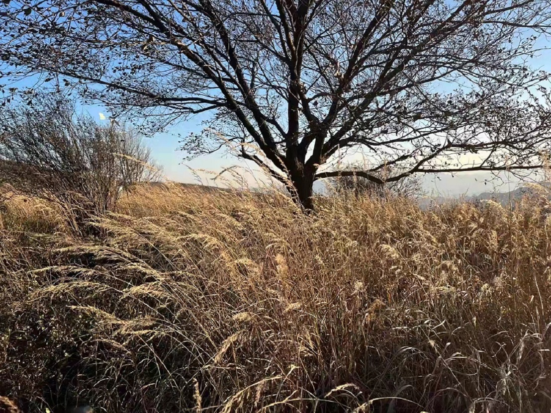 李翰配图.jpg 李翰配图.jpg