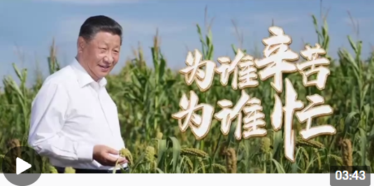微信截图_20211231111229.png 微信截图_20211231111229.png