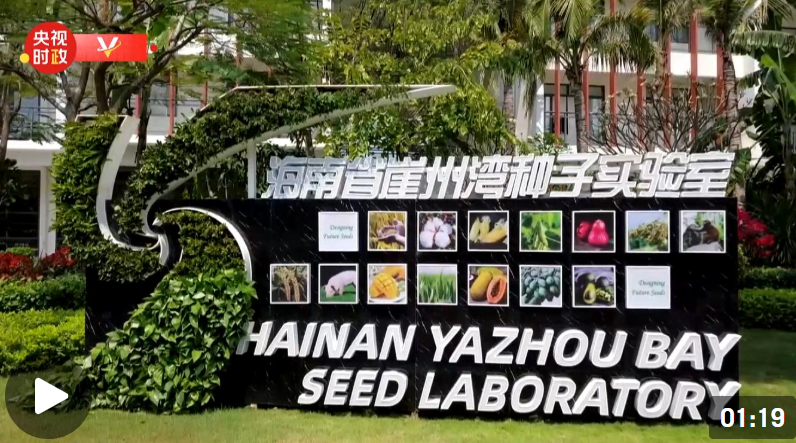 微信截图_20220411125453.png
