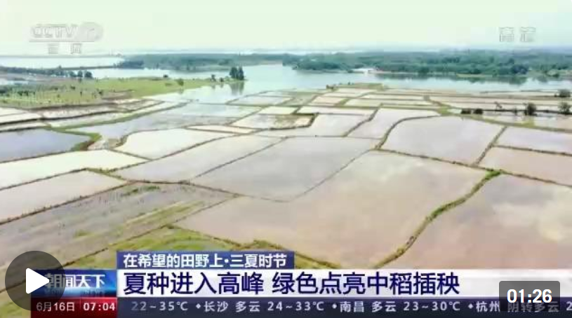 微信截图_20220616095915.png