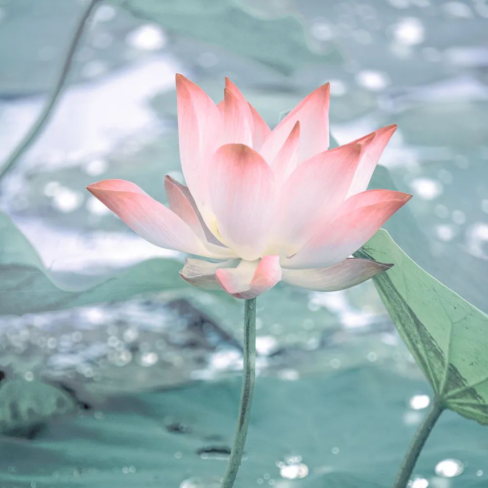 微信图片_20220628153441.jpg 微信图片_20220628153441.jpg