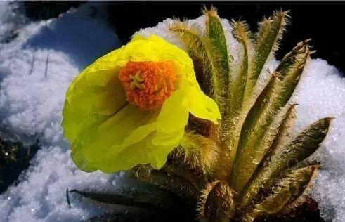 屏幕截图 2022-08-30 110137.png