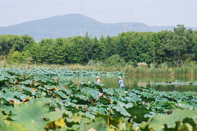 内 5b1b84eb45c28c9_副本.jpg