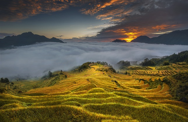云和四季梯田-秋-刘丽莉.jpg 云和四季梯田-秋-刘丽莉.jpg